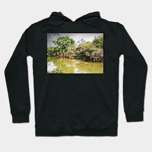 Africa Watering Hole Hoodie